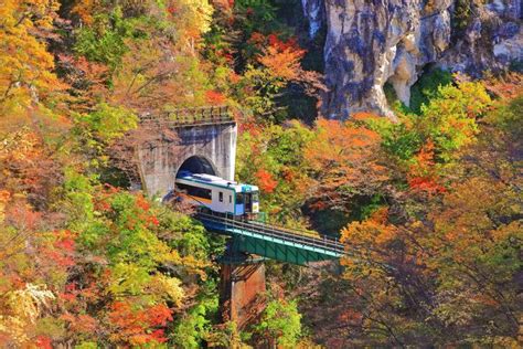 [Updated 11/9] Fall Foliage Forecast 2020: What Are the Best Times and ...