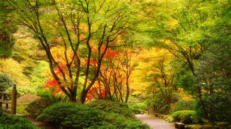 usa, Garden, Portland, Japanese, Trees, Nature, Autumn, Fall Wallpapers ...