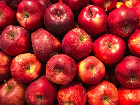 Red Apples · Free Stock Photo