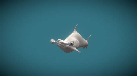 Shark_sculpt - 3D model by zardim [847141e] - Sketchfab