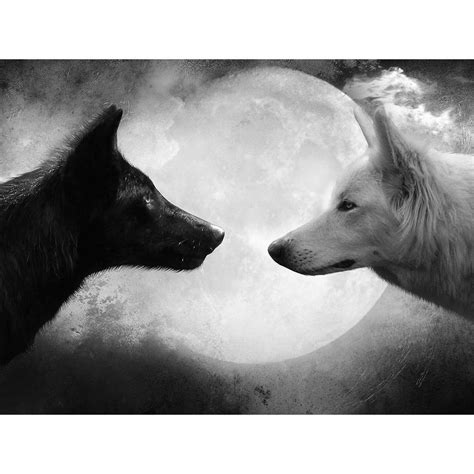 Black Wolf and White Wolf - Wildlife Animal Art Print Poster Wall Decor Home Decor(32x24inches ...