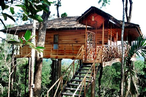 Treehouse Wayanad: The Treevilla of Serenity