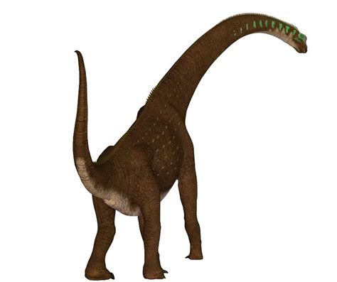 Giraffatitan Dinosaur Fun Facts for Kids