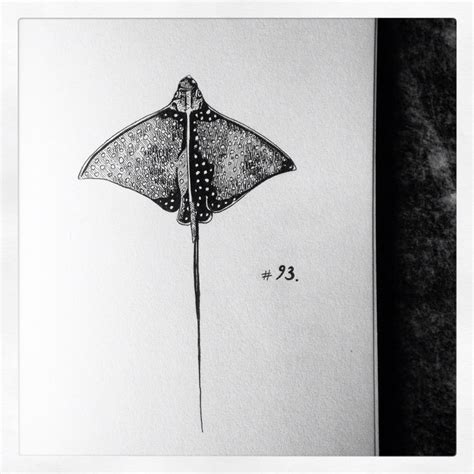 Stingray sketch - 3rd of April 2016, Daily drawing | Stingray tattoo ...