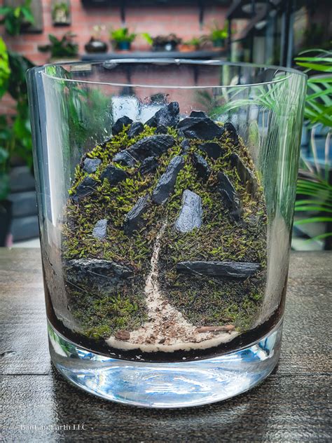 Making A Moss Terrarium Jar With Material Found Around The Yard