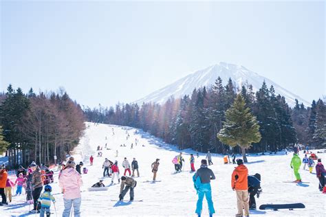 Does It Snow in Kyoto? Top Winter Attractions to Visit - Trip To Japan