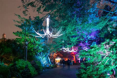 Review of Lightscape at Brooklyn Botanic Garden — Distill Creative