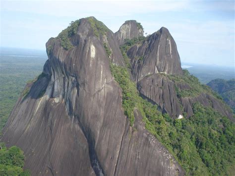 Pico da Neblina is the highest mountain in Brazil, 2,994 meters (9,823 ft). | National parks ...