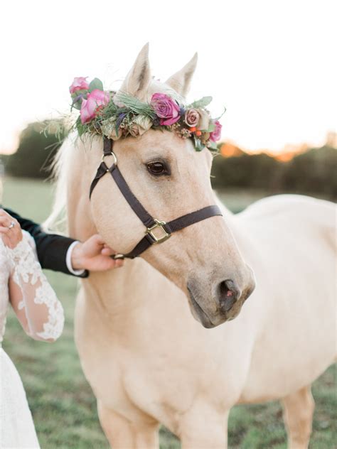 Jewel Toned Edgy Boho Wedding Ideas | Pretty horses, Horse flowers, Pretty animals