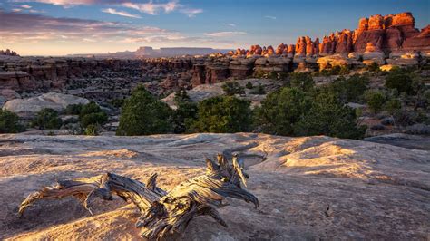 The Ultimate Guide to Canyonlands National Park