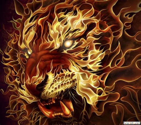 Fire Tiger Wallpapers - 4k, HD Fire Tiger Backgrounds on WallpaperBat