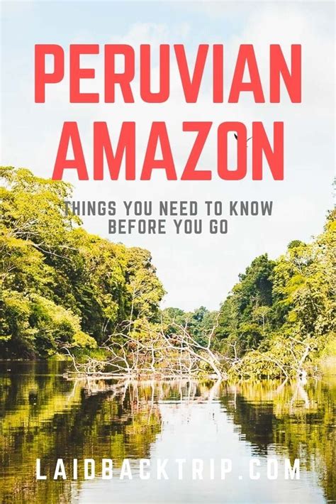 A complete guide to visiting the amazon in peru – Artofit