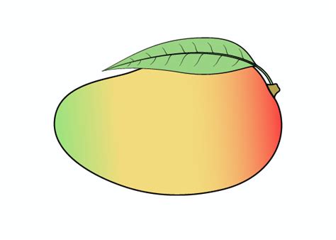 How to Draw a Mango Step by Step - EasyLineDrawing