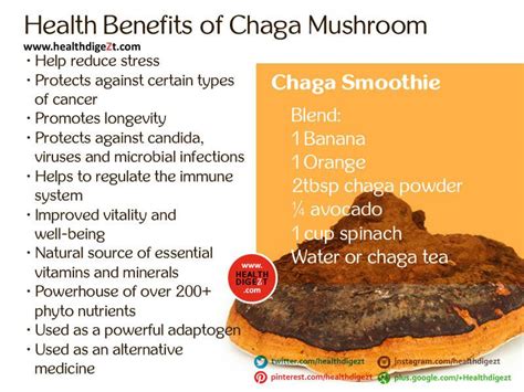 Health Digest - Health Benefits of Chaga Mushroom | Facebook