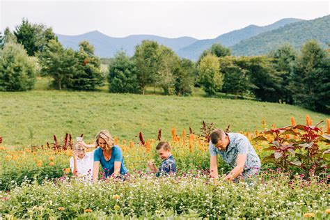 You-Pick Flowers — The Never Ending Flower Farm