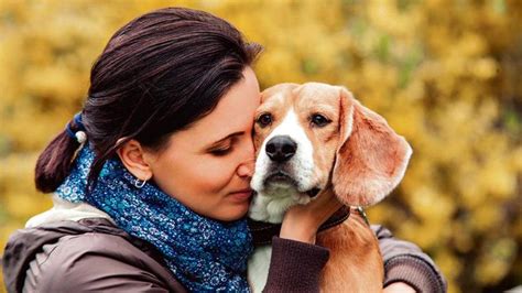 How To Help Anxiety In Dogs Who Are Left Alone