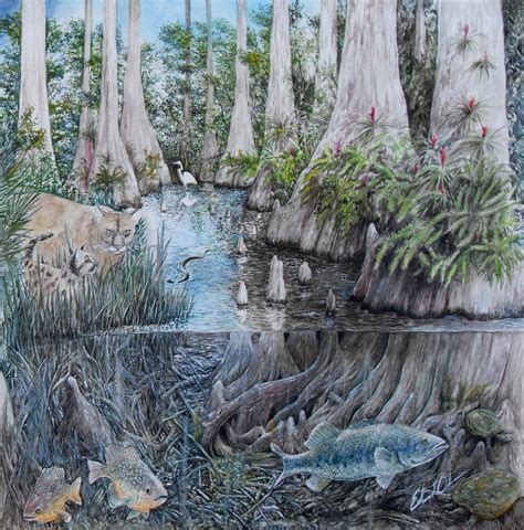 Swamp Watercolor at PaintingValley.com | Explore collection of Swamp ...