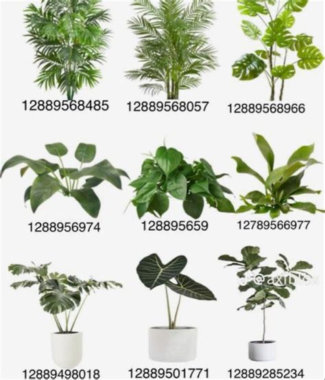 various types of plants in pots and numbers on the bottom right hand corner are shown