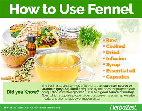 Fennel Health Benefits, Turmeric Benefits, Roasted Fennel, Herbal ...