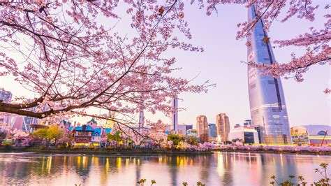 Widok zza okwieconech gałęzi na Lotte World Tower w Seulu
