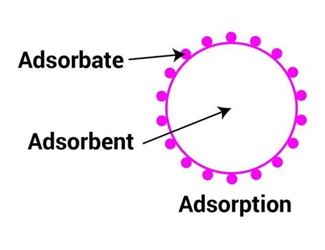 8 Examples of Adsorption in Daily Life – StudiousGuy