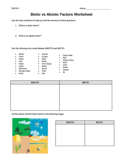 biotic and abiotic factors worksheet ... | Abiotic, Teaching biology ...