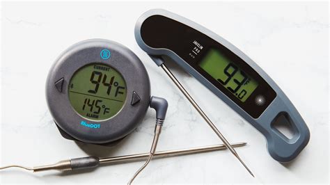 A Meat Thermometer Buying Guide: Which Style is Right for You? | Epicurious