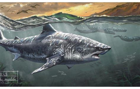 Megalodon Wallpapers - Top Free Megalodon Backgrounds - WallpaperAccess