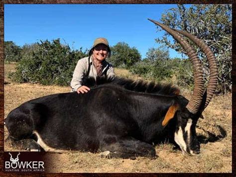 Plains Game Hunting in Africa - Best Plains Game Hunt.