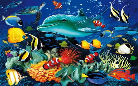 Ocean Underwater World Marine Life Dolphin Sea Turtle Colorful Tropical ...