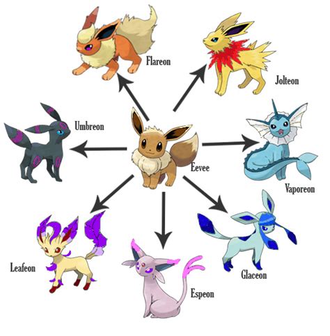 Pokemon Sword And Shield Eevee Evolutions Guide: How To Evolve