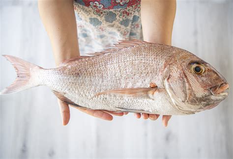 Red Sea Bream : King of Fish — THE SETOUCHI COOKBOOK