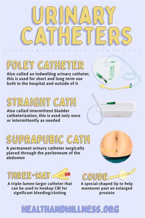 Share 137+ foley bag catheter insertion procedure - 3tdesign.edu.vn