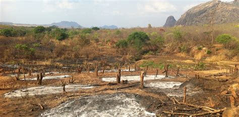 Half the world's ecosystems at risk from habitat loss, and Australia is one of the worst