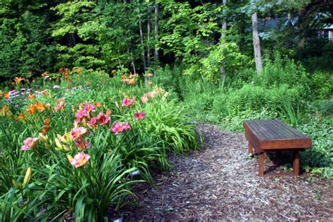 How to Design a Forest Garden | GroCycle