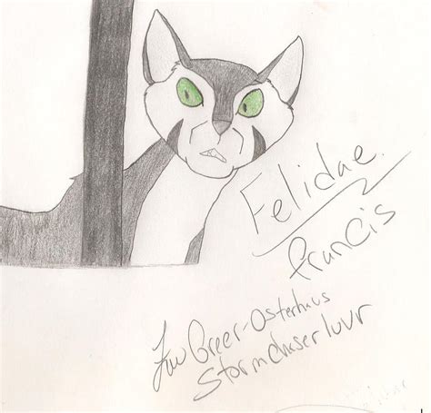 Felidae Francis by StormChaserLuvr on DeviantArt