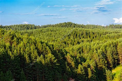 taiga forest — Stock Photo © Alx_Yago #72068853