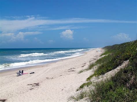 Are Dogs Allowed On Cape Canaveral Beach