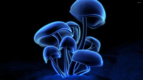 Mushroom Wallpapers - Top Free Mushroom Backgrounds - WallpaperAccess