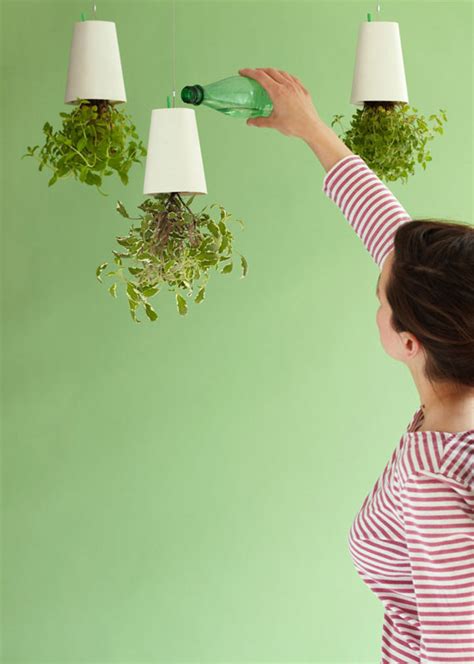 If It's Hip, It's Here (Archives): A New Perspective on Hanging Plants. Introducing Boskke Sky ...
