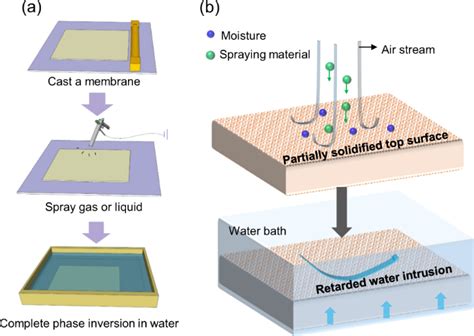 Rheologically controlled design of nature-inspired superhydrophobic and self-cleaning membranes ...