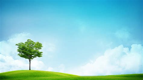 Sky and Grass Wallpapers - Top Free Sky and Grass Backgrounds - WallpaperAccess