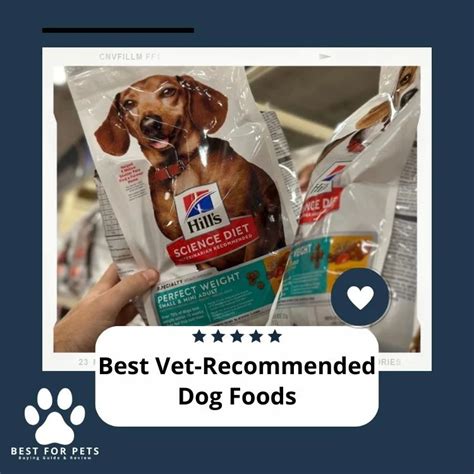 Best Vet Recommended Dog Foods - Best For Pets