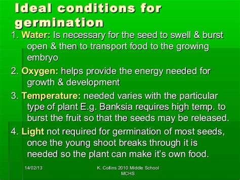 The circle of life seeds and germination