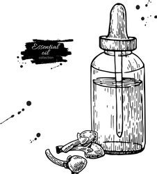 Essential Oil Bottle Vector Images (over 9,700)