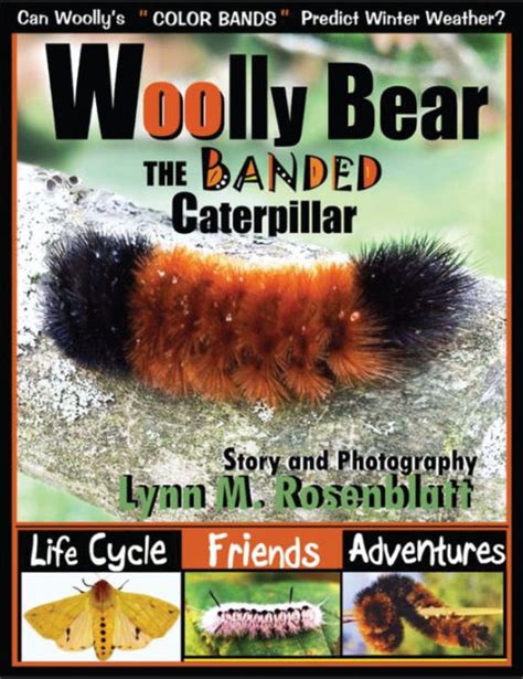 Woolly Bear the Banded Caterpillar: Life Cycle, Friends and Adventures by Lynn M. Rosenblatt ...