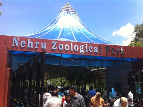 Nehru Zoological Park gets different animals from Odisha