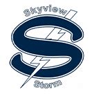 Skyview High School Volleyball - Vancouver, WA