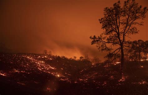 Fire and Brimstone | On the Media | WNYC Studios