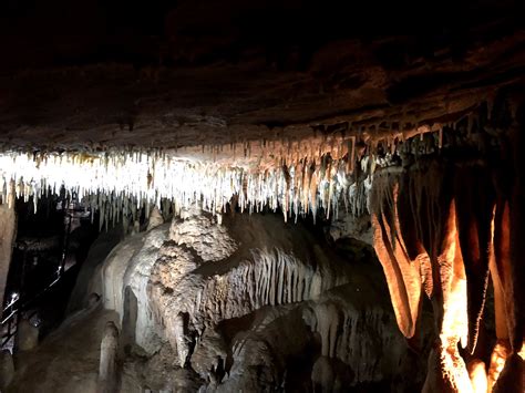 Amazing world underground – Buchan Caves – Indi's Page